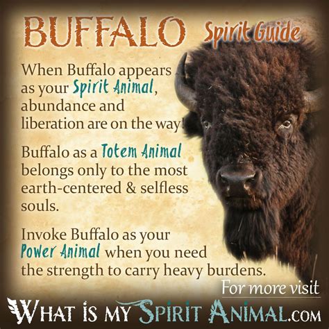 Villy buffalo mascot
